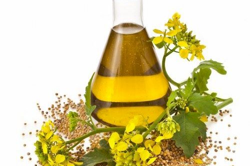 Mustard Oil